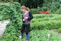 Bild