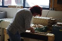 Bild